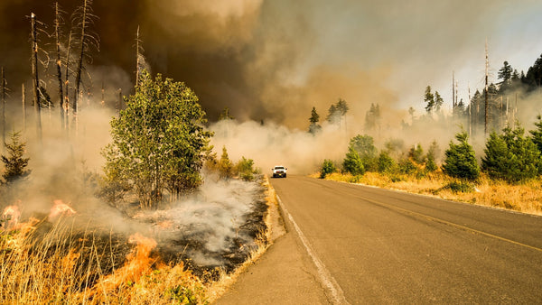 Staying Alive During Wildfire Season
