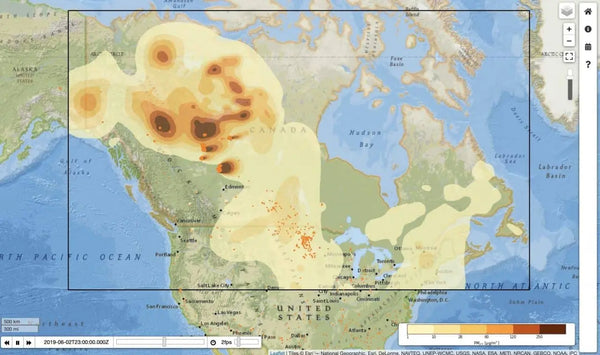 Wildfire Guide: Prevention, Precautions & Evacuation