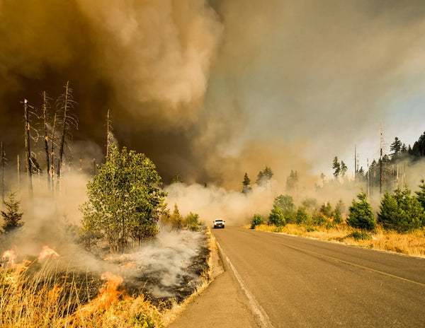 Wildfire-Smoke-Returns-Quest-to-Find-the-Right-Mask Cambridge Mask Co